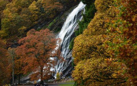 fa vízesés írország ősz