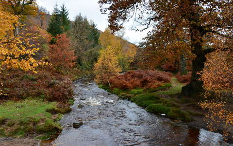 címlapfotó folyó írország ősz