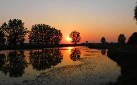 címlapfotó fa naplemente tükröződés