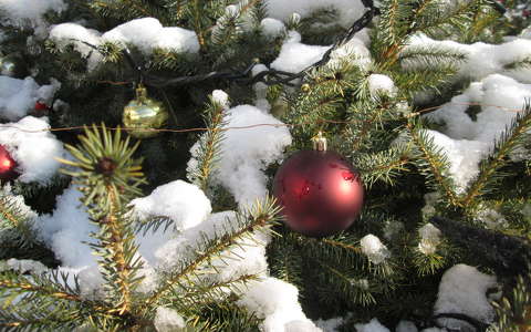 karácsonyi dekoráció tél