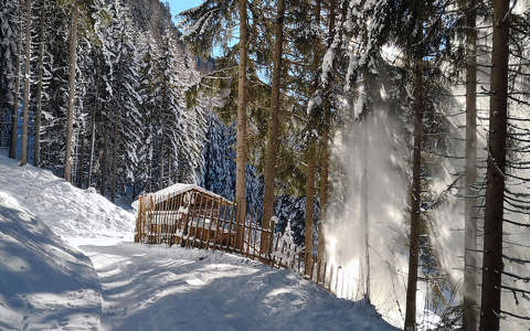 címlapfotó erdő kerítés tél