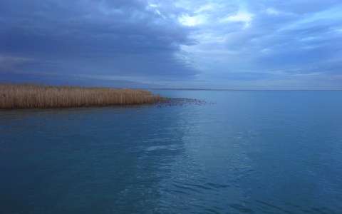 Balatonalmádi kékség.