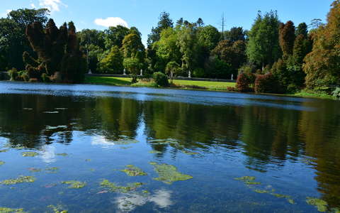 Ireland