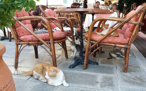 Corfu town, serenity