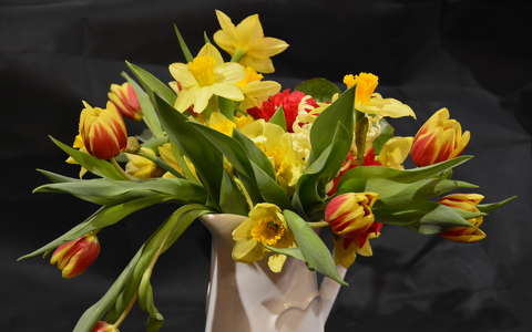 nárcisz tavaszi virág tulipán virágcsokor és dekoráció