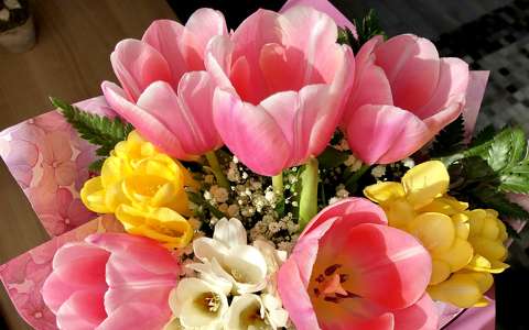 tulipán virágcsokor és dekoráció