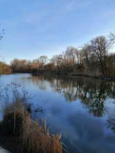 Tőserdő, holt Tisza kora tavasszal.