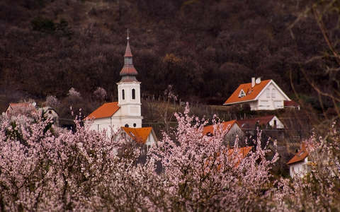 címlapfotó ház tavasz templom