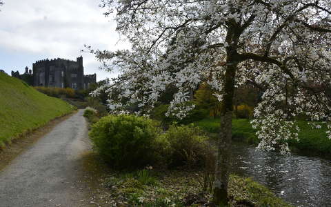 IRELAND BIRR CASTLE