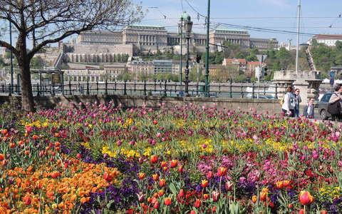Virágos Budapest