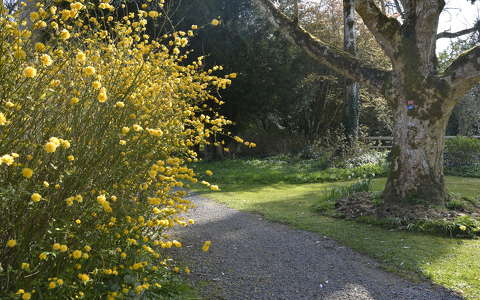 kertek és parkok tavasz írország