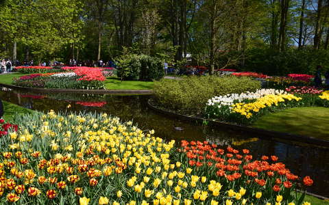 címlapfotó hollandia kertek és parkok keukenhof