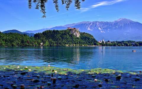 alpok bledi-tó címlapfotó hegy