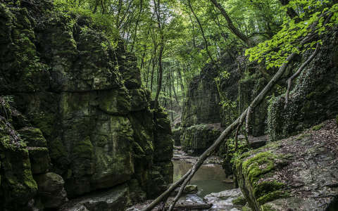 Gaja patak, Római fürdő