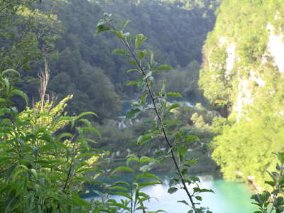 Plitvice