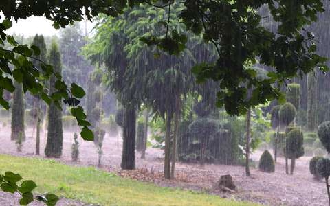 címlapfotó eső kertek és parkok