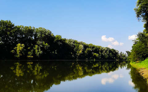 Tisza