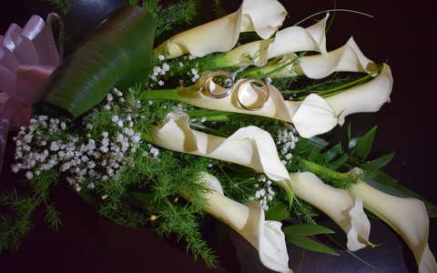 címlapfotó kála trópusi virág virágcsokor és dekoráció