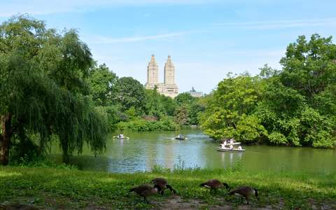 Central park, New York, USA