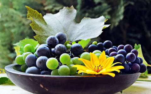 csendélet címlapfotó gyümölcs szőlő