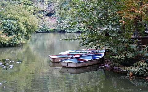 csónak ősz