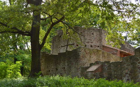 Pálos kolostorrom, Salföld