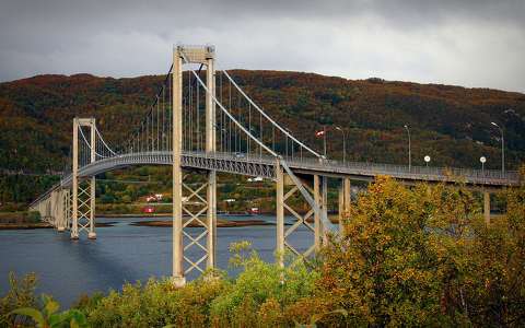 címlapfotó híd ősz