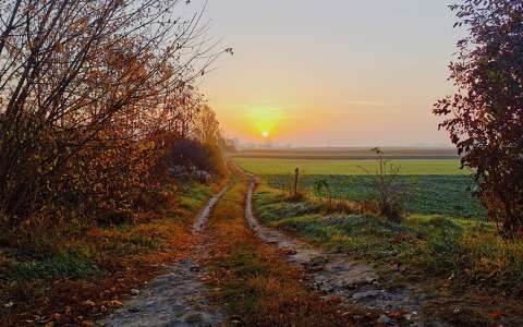 címlapfotó naplemente út ősz