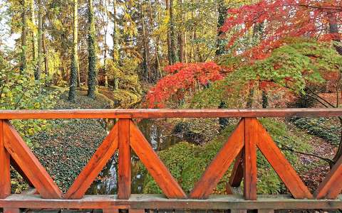 erdő híd patak ősz