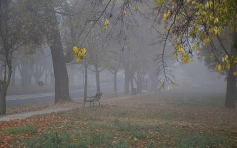 címlapfotó köd pad ősz
