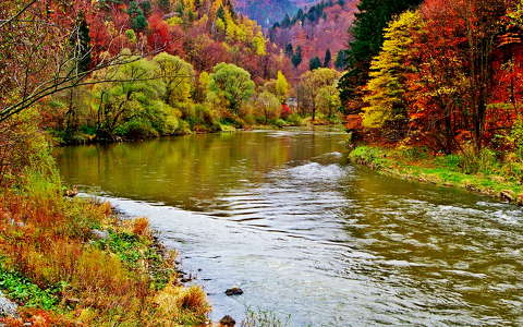 címlapfotó erdő folyó ősz