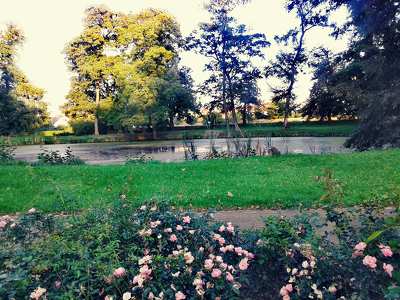 Park, Veselí nad Moravou, Csehország