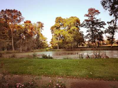 Park, Veselí nad Moravou, Csehország