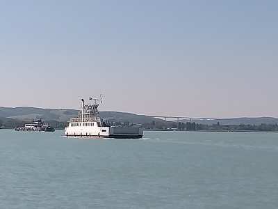 Balatoni kompok