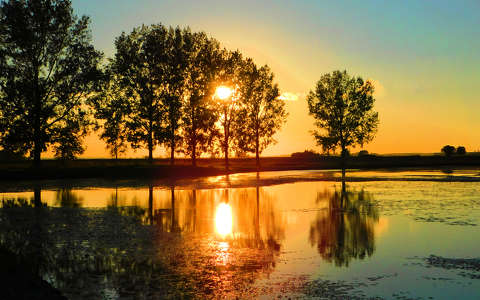 címlapfotó fa naplemente tó