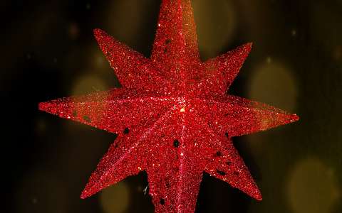 Karácsonyi csillag