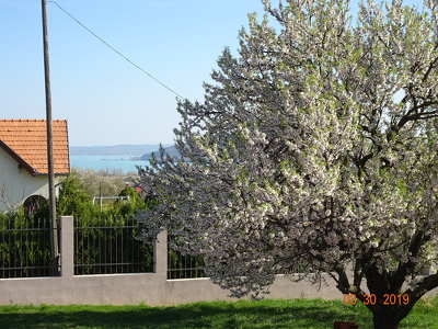 Balatonfüred