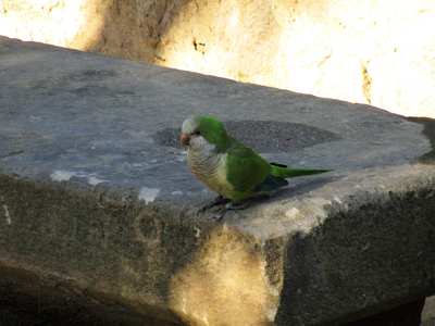 Barcelona - Güell park - érdeklődés