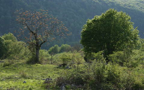 Karszt fennsík, Karas-völgye