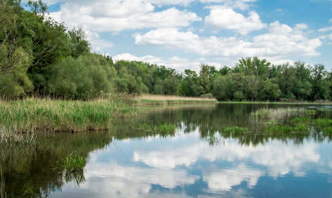 Gemenc, Forgó tó