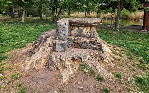 kertek és parkok