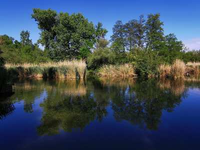 GyömrőTőzeges tó