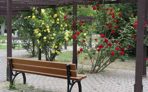 címlapfotó kertek és parkok pad rózsa