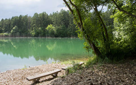 címlapfotó nyár pad tó
