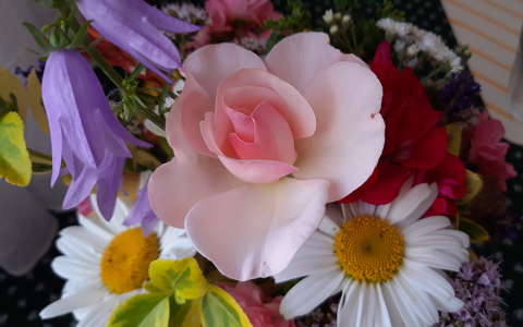 harangvirág margaréta rózsa virágcsokor és dekoráció