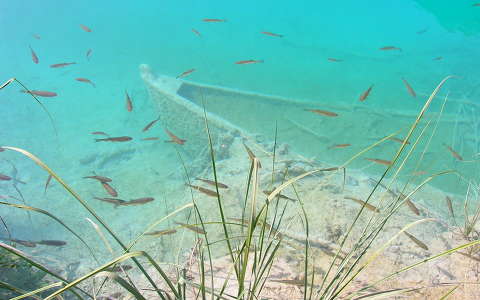 hal horvátország plitvicei tavak világörökség