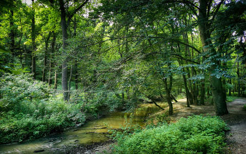 Gaja-szurdok,Fotó: Szolnoki Tibor