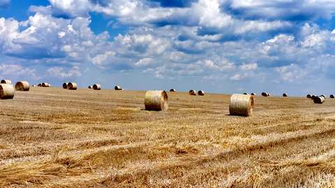 Szétgurúlt aranygombolyagok