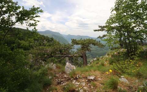 Szerbia, Tara Nemzeti Park