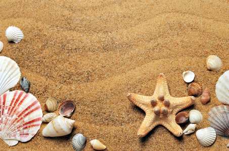 tenger, homok, tengerpart, csillag, kagyló, arany, sárga, nap, naplemente, tengeri csillag